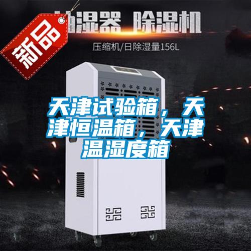 天津試驗箱，天津恒溫箱，天津溫濕度箱