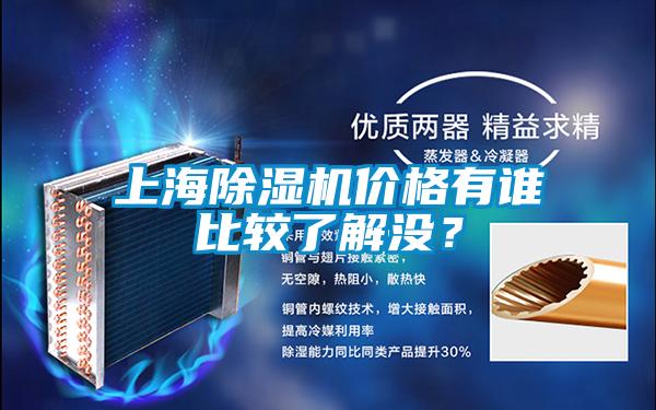 上海91视频链接下载價格有誰比較了解沒？