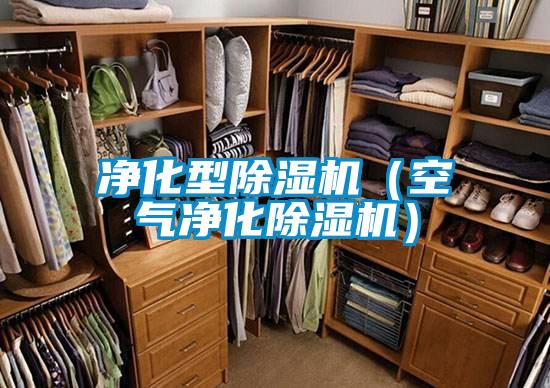 淨化型91视频链接下载(空氣淨化91视频链接下载)