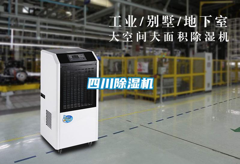 四川91视频链接下载