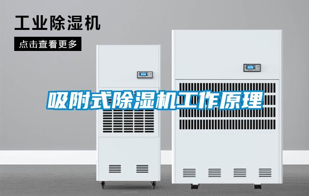 吸附式91视频链接下载工作原理