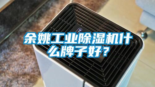 餘姚工業91视频链接下载什麽牌子好？