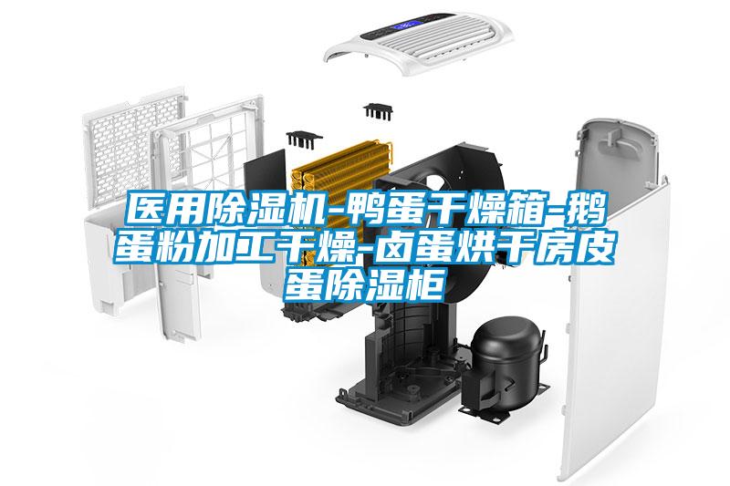 醫用91视频链接下载-鴨蛋幹燥箱-鵝蛋粉加工幹燥-鹵蛋烘幹房皮蛋除濕櫃