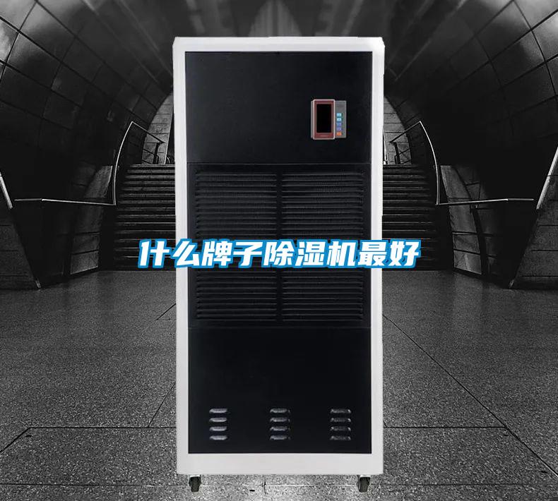 什麽牌子91视频链接下载最好