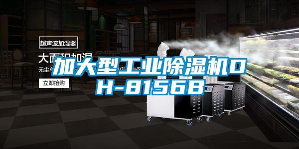 加大型工業91视频链接下载DH-8156B