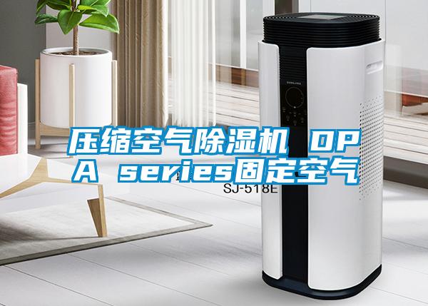 壓縮空氣91视频链接下载 DPA series固定空氣