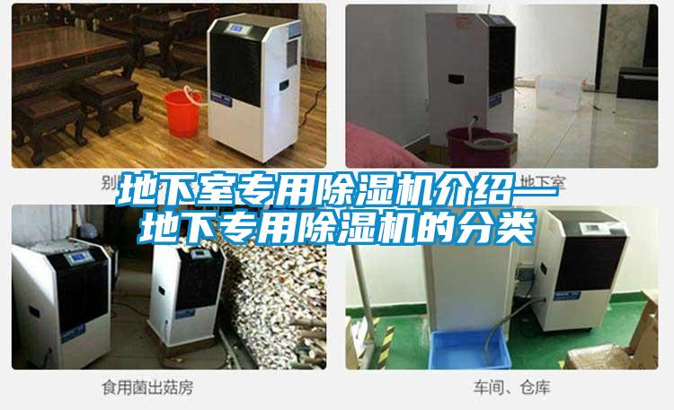 地下室專用91视频链接下载介紹—地下專用91视频链接下载的分類