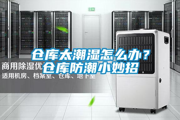 倉庫太潮濕怎麽辦？倉庫防潮小妙招