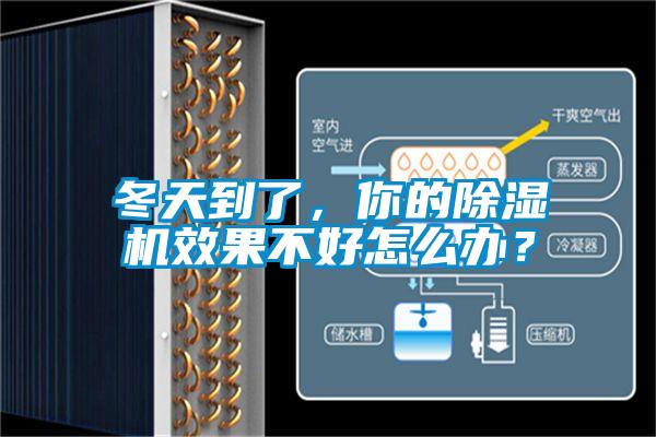 冬天到了，你的91视频链接下载效果不好怎麽辦？