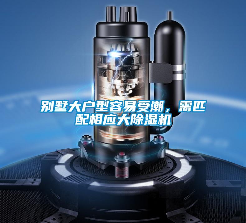 別墅大戶型容易受潮，需匹配相應大91视频链接下载