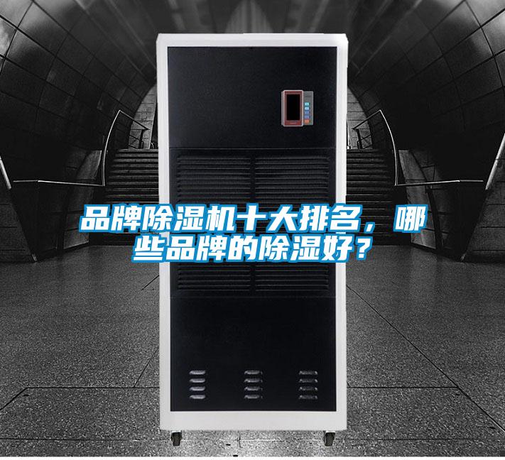 品牌91视频链接下载十大排名，哪些品牌的除濕好？