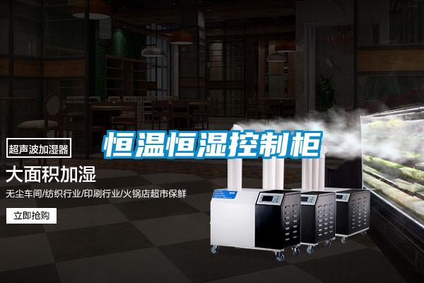 恒溫恒濕控製櫃