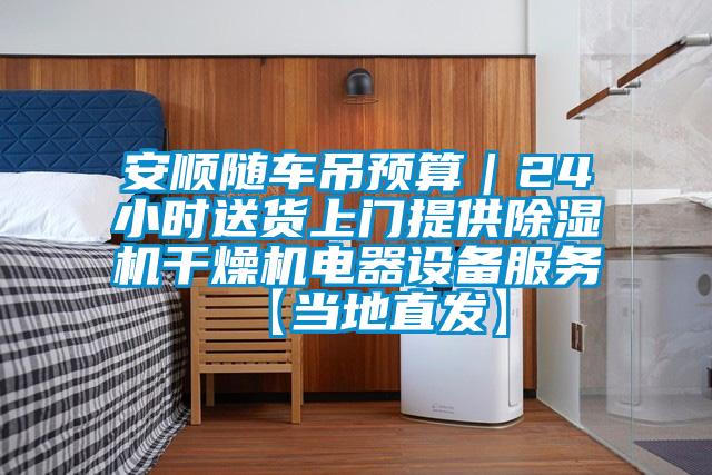 安順隨車吊預算|24小時送貨上門提供91视频链接下载幹燥機電器設備服務【當地直發】