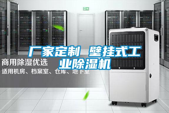 廠家定製 壁掛式工業91视频链接下载