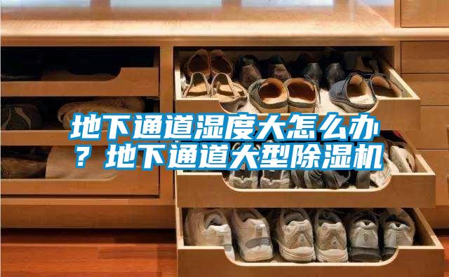 地下通道濕度大怎麽辦？地下通道大型91视频链接下载