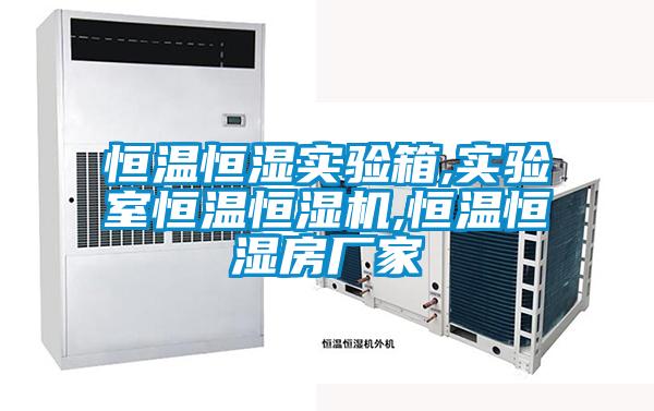 恒溫恒濕實驗箱,實驗室恒溫恒濕機,恒溫恒濕房廠家