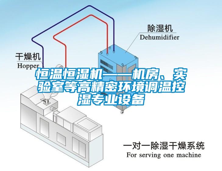 恒溫恒濕機——機房、實驗室等高精密環境調溫控濕專業設備