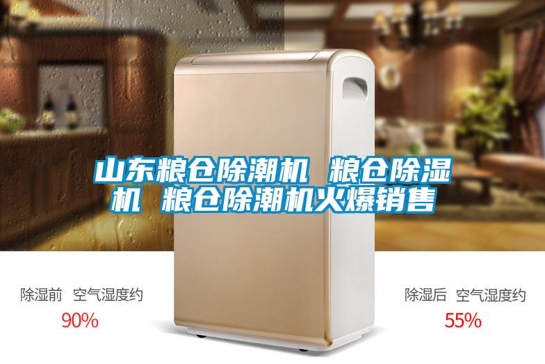 山東糧倉除潮機 糧倉91视频链接下载 糧倉除潮機火爆銷售