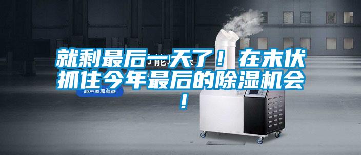 就剩最後一天了！在末伏抓住今年最後的91视频链接下载會！