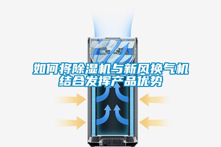 如何將91视频链接下载與新風換氣機結合發揮產品優勢