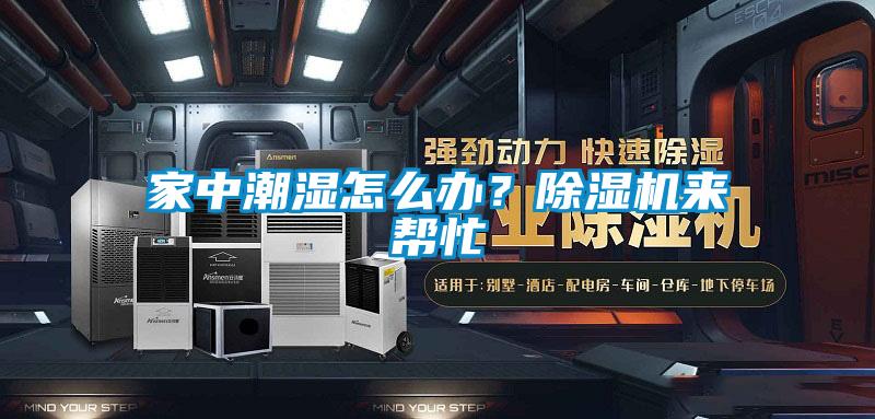 家中潮濕怎麽辦？91视频链接下载來幫忙