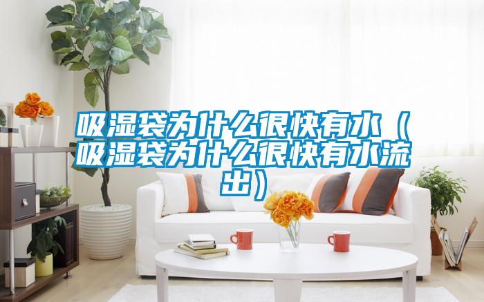 吸濕袋為什麽很快有水(吸濕袋為什麽很快有水流出)