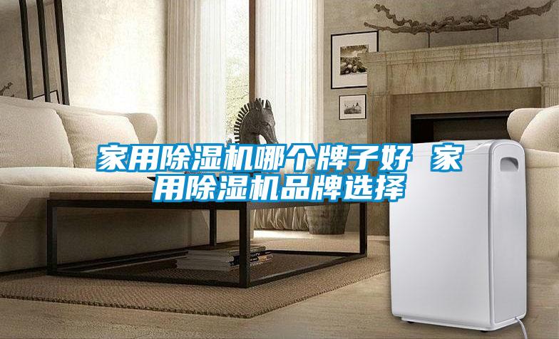 家用91视频链接下载哪個牌子好 家用91视频链接下载品牌選擇