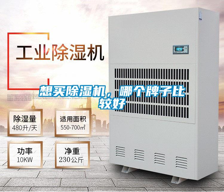 想買91视频链接下载，哪個牌子比較好