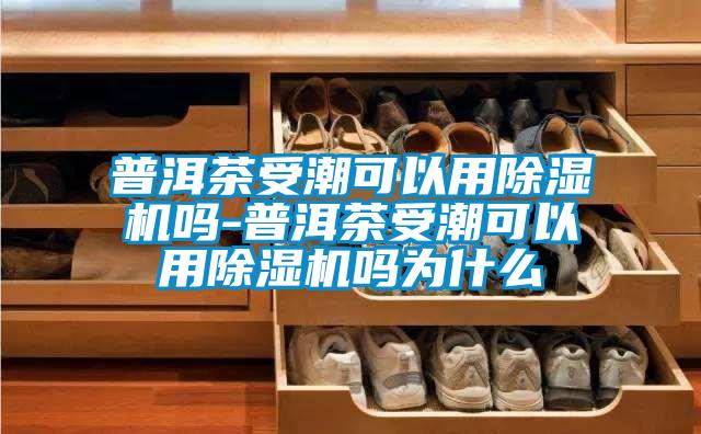普洱茶受潮可以用91视频链接下载嗎-普洱茶受潮可以用91视频链接下载嗎為什麽