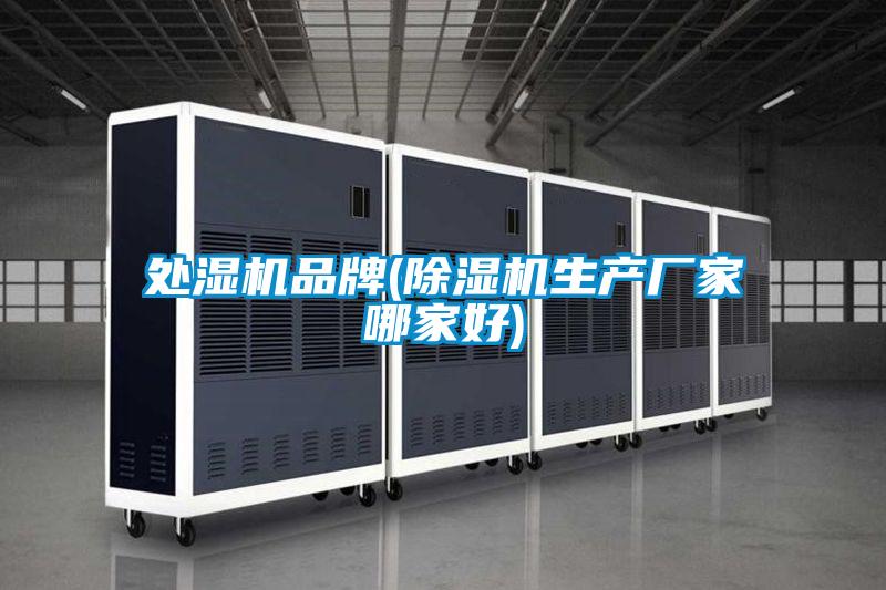 處濕機品牌(91视频链接下载生產廠家哪家好)