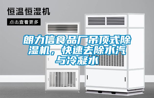 朗力信食品廠吊頂式91视频链接下载，快速去除水汽與冷凝水