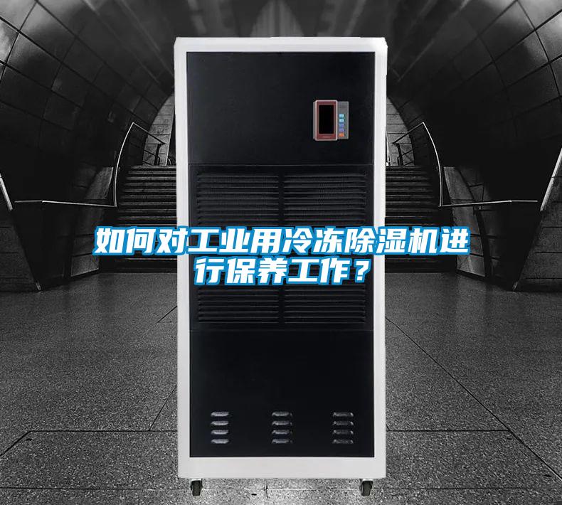 如何對工業用冷凍91视频链接下载進行保養工作？