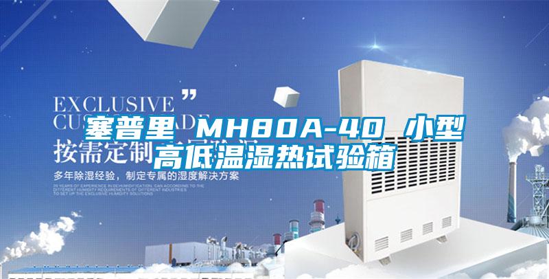 塞普裏 MH80A-40 小型高低溫濕熱試驗箱