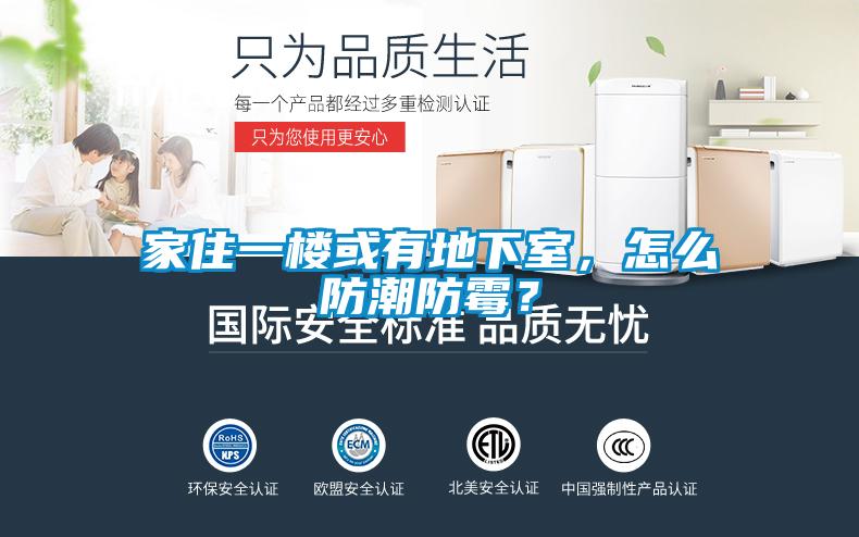 家住一樓或有地下室，怎麽防潮防黴？