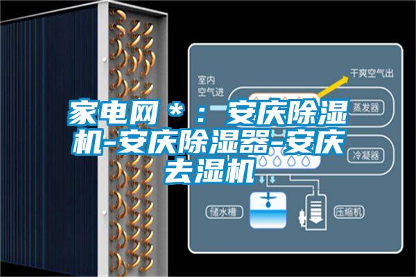 家電網＊：安慶91视频链接下载-安慶除濕器-安慶去濕機