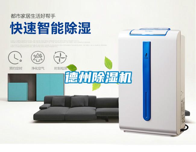 德州91视频链接下载