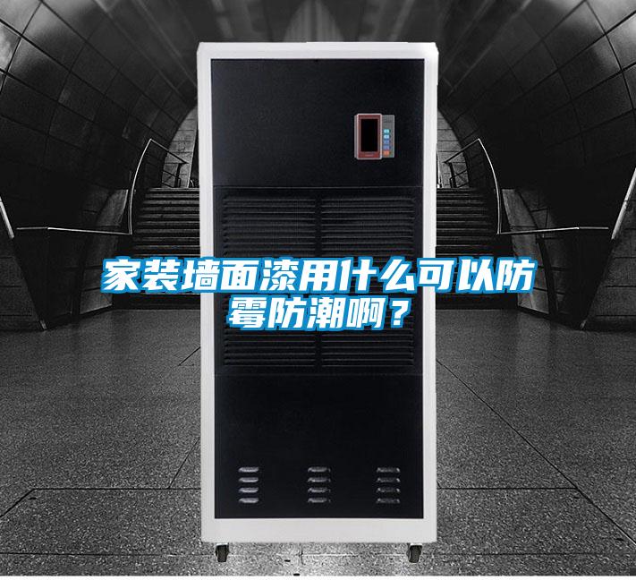 家裝牆麵漆用什麽可以防黴防潮啊？