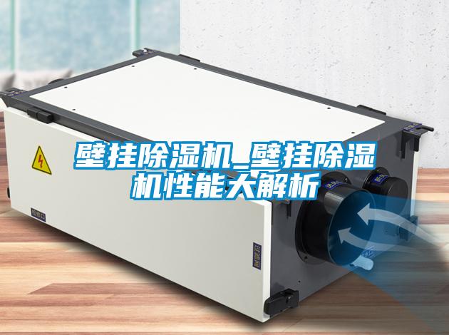 壁掛91视频链接下载_壁掛91视频链接下载性能大解析