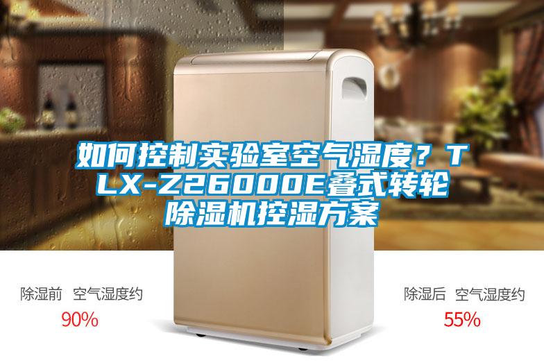 如何控製實驗室空氣濕度？TLX-Z26000E疊式轉輪91视频链接下载控濕方案