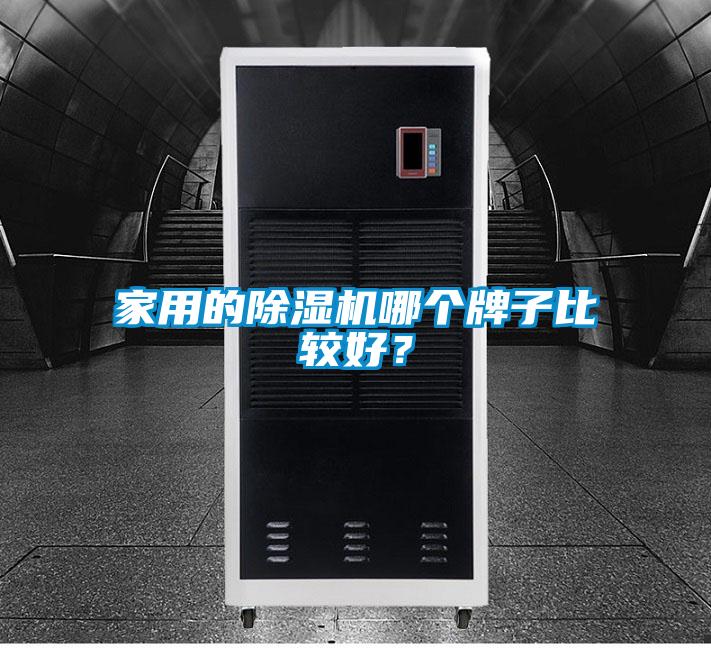 家用的91视频链接下载哪個牌子比較好？