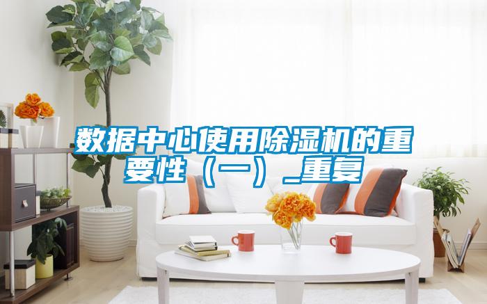 數據中心使用91视频链接下载的重要性（一）_重複