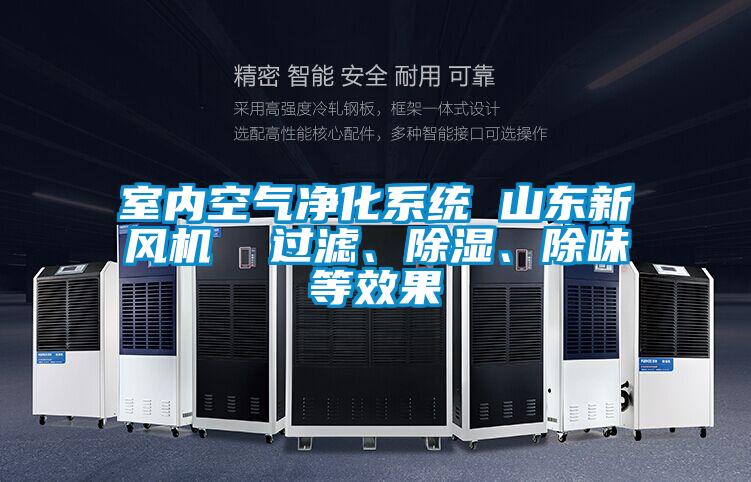 室內空氣淨化係統 山東新風機  過濾、除濕、除味等效果