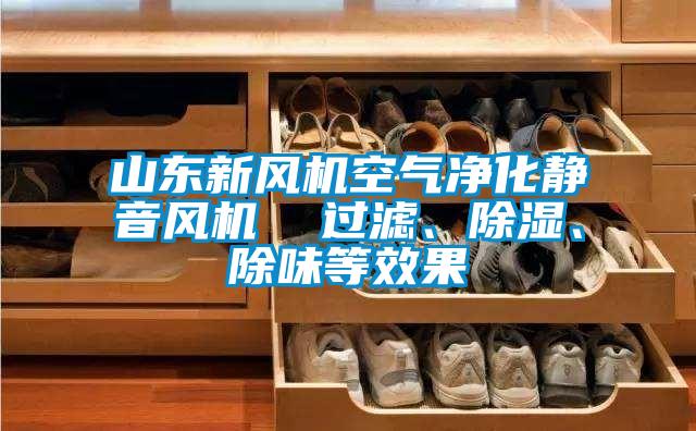 山東新風機空氣淨化靜音風機  過濾、除濕、除味等效果