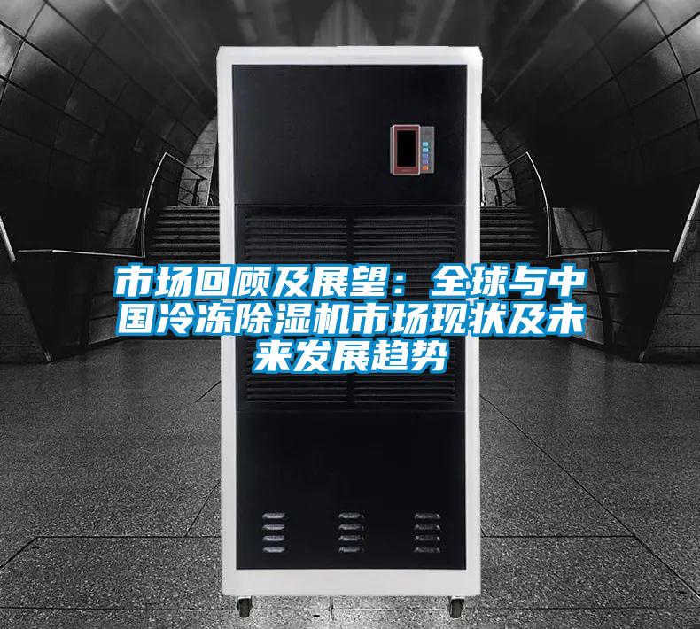 市場回顧及展望：全球與中國冷凍91视频链接下载市場現狀及未來發展趨勢