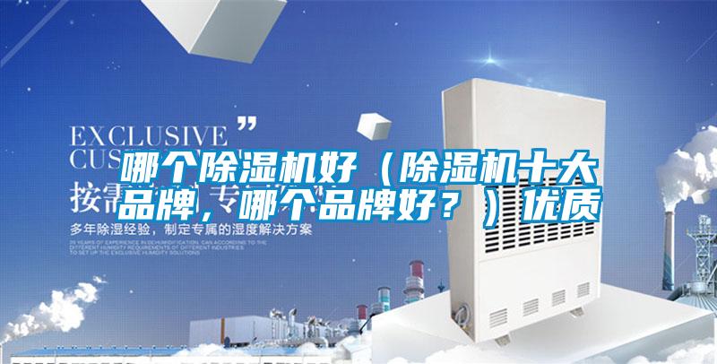 哪個91视频链接下载好（91视频链接下载十大品牌，哪個品牌好？）優質