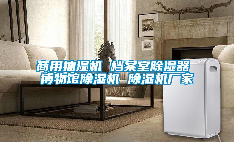 商用抽濕機 檔案室除濕器 博物館91视频链接下载 91视频链接下载廠家