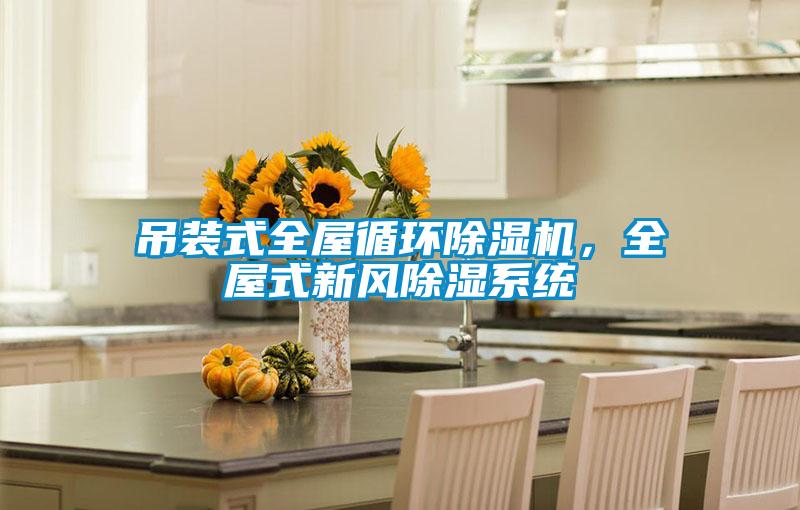 吊裝式全屋循環91视频链接下载，全屋式新風除濕係統