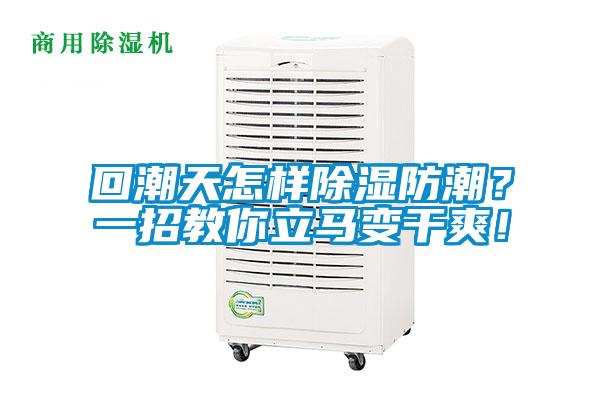 回潮天怎樣除濕防潮？一招教你立馬變幹爽！