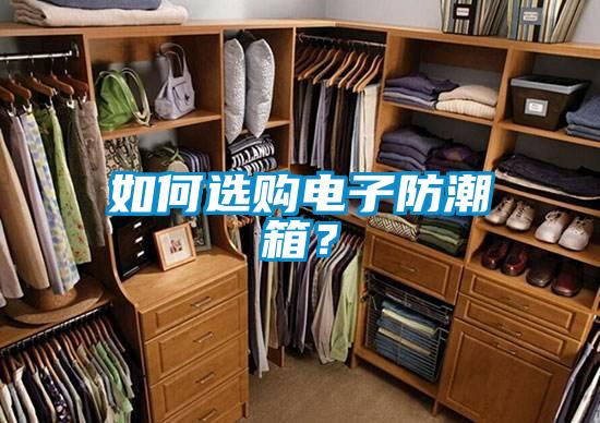 如何選購電子防潮箱？