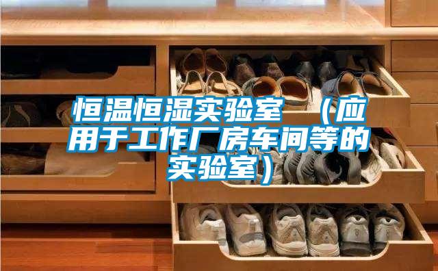 恒溫恒濕實驗室 (應用於工作廠房車間等的實驗室)